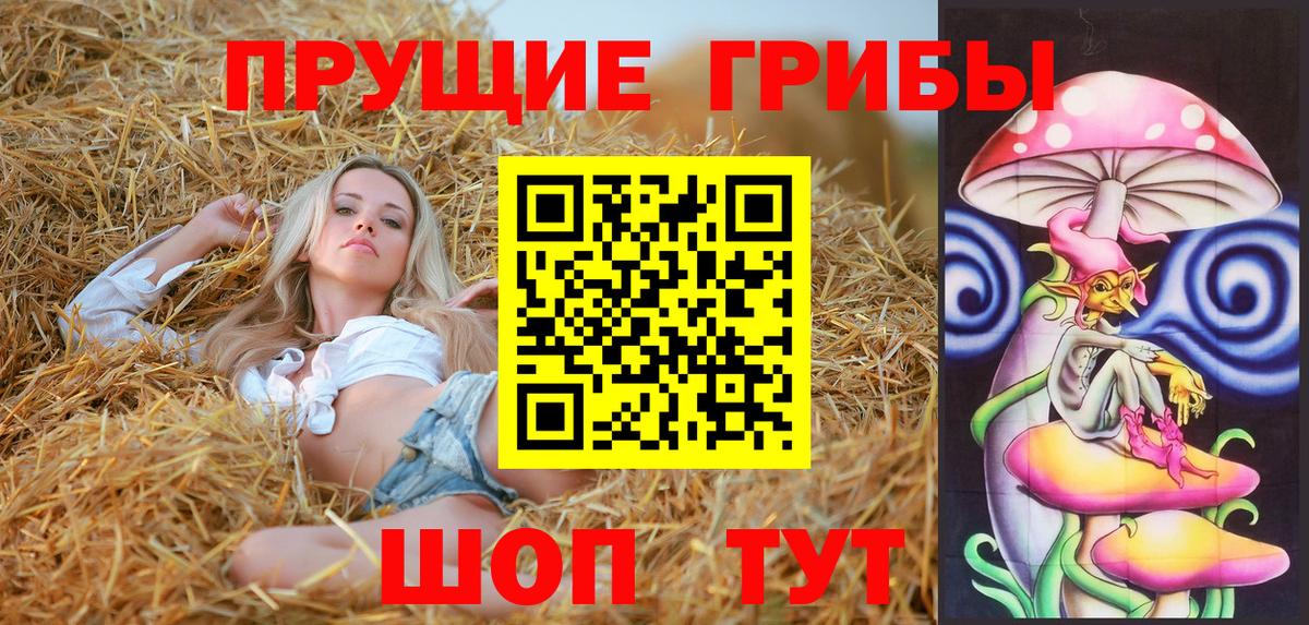 Элиста  как найти закладки  Вход с VPN  Галлюциногенные грибы мухоморы 